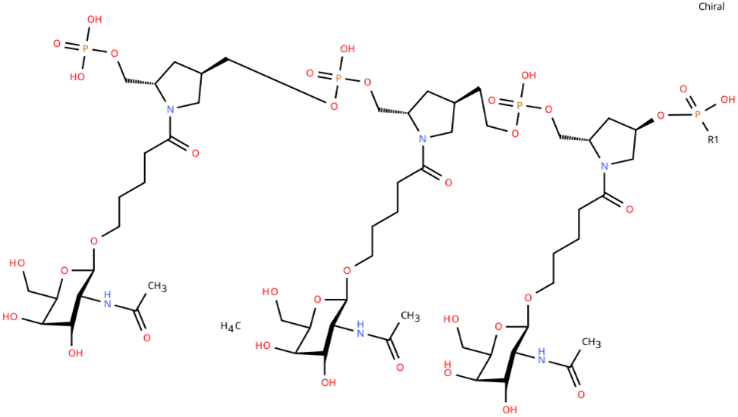 Directionality of Oligo Seq 2.png