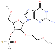 Directionality of Oligo Seq.png